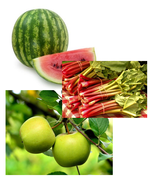 Melone-Rhabarber-Apfel Saunaaufgusskonzentrat