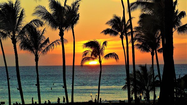 Hawaii Feeling (Ananas, Birne, Erdbeere, Himbeere) - Saunaaufgusskonzentrat