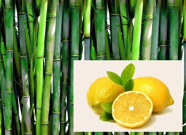 Bambus-Zitrone Dampfbad-Thermenduft
