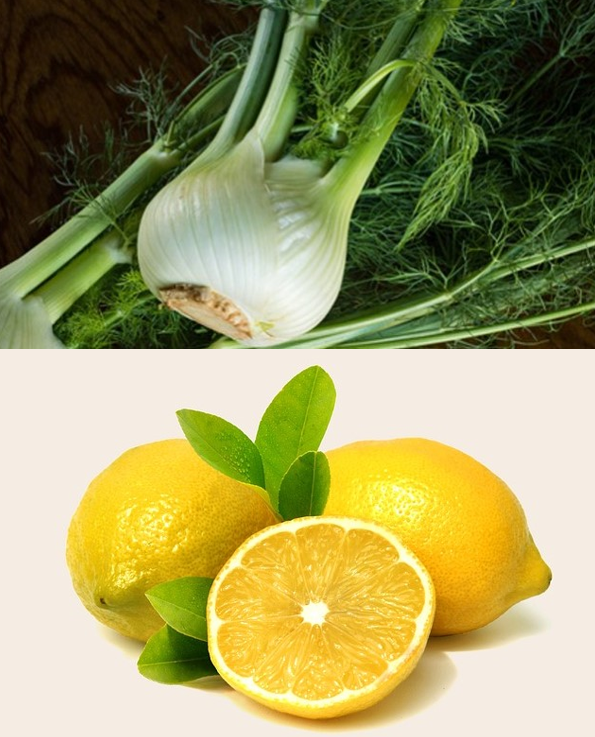 Fenchel-Zitrone